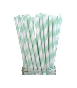 24 Mint Gestreifte Papier-Trinkhalme