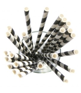 24 Pailles Papier Ray