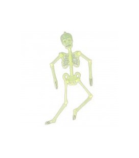 Glow in the Dark Skeleton