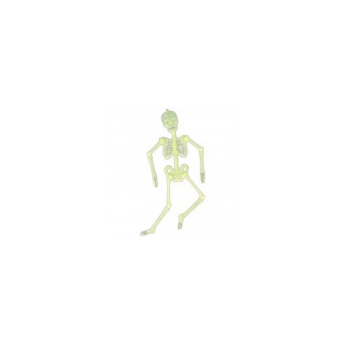 Glow in the Dark Skeleton