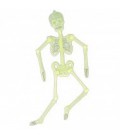 Squelette Phosphorescent