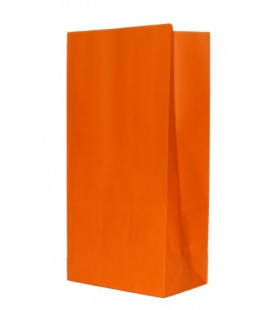 12 Orange Paper Party Bags