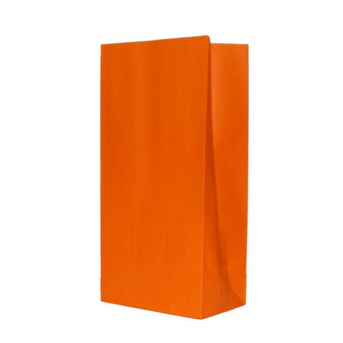 12 Orange Paper Party Bags