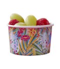 Tropical Ice Cream/Treat Tubs