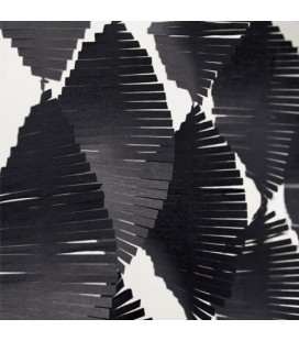 Black Fringe Garland