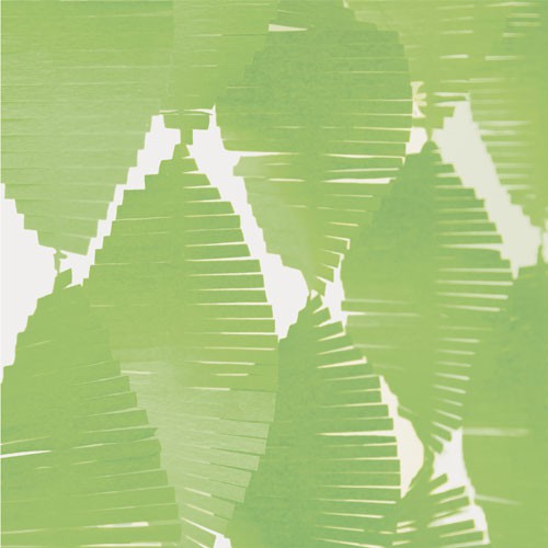 Lime Fringe Garland