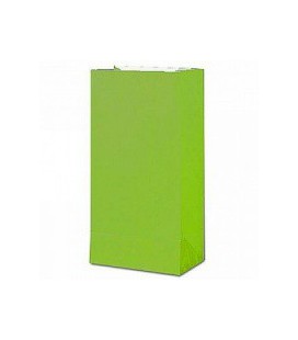 12 Lime Paper Party Bags