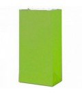 12 Pochettes Cadeaux Papier Lime