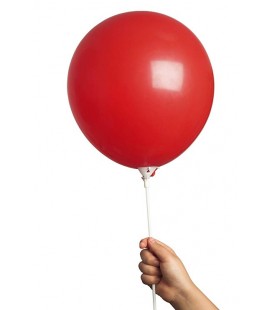 Balloon Stick