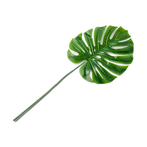 1 Tropical Leaf