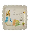 Grandes Assiettes Pierre Lapin