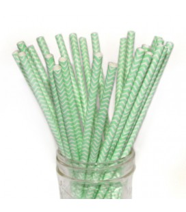 25 Mint Chevron Paper Straws