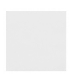 20 White Lunch Napkins